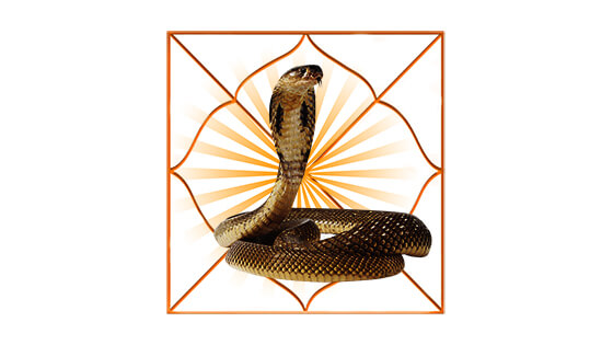 Kaal Sarp Dosha Puja – काल सर्प दोष पूजा -100% Accurate Remedy