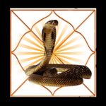 काल सर्प दोष