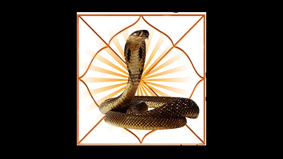 काल सर्प दोष